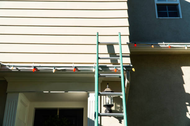 Historical Building Siding Restoration in Vernon, AL